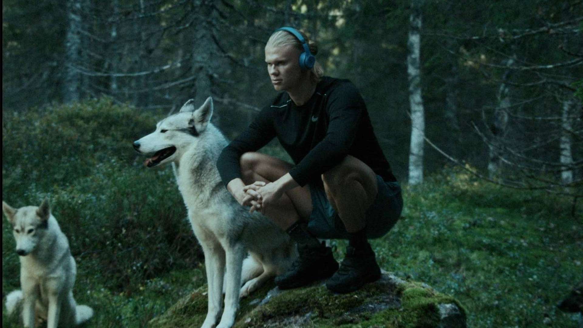 于阿森纳不 于阿森纳不